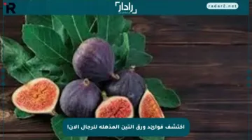 اكتشف فوائد ورق التين المذهلة للرجال الآن!